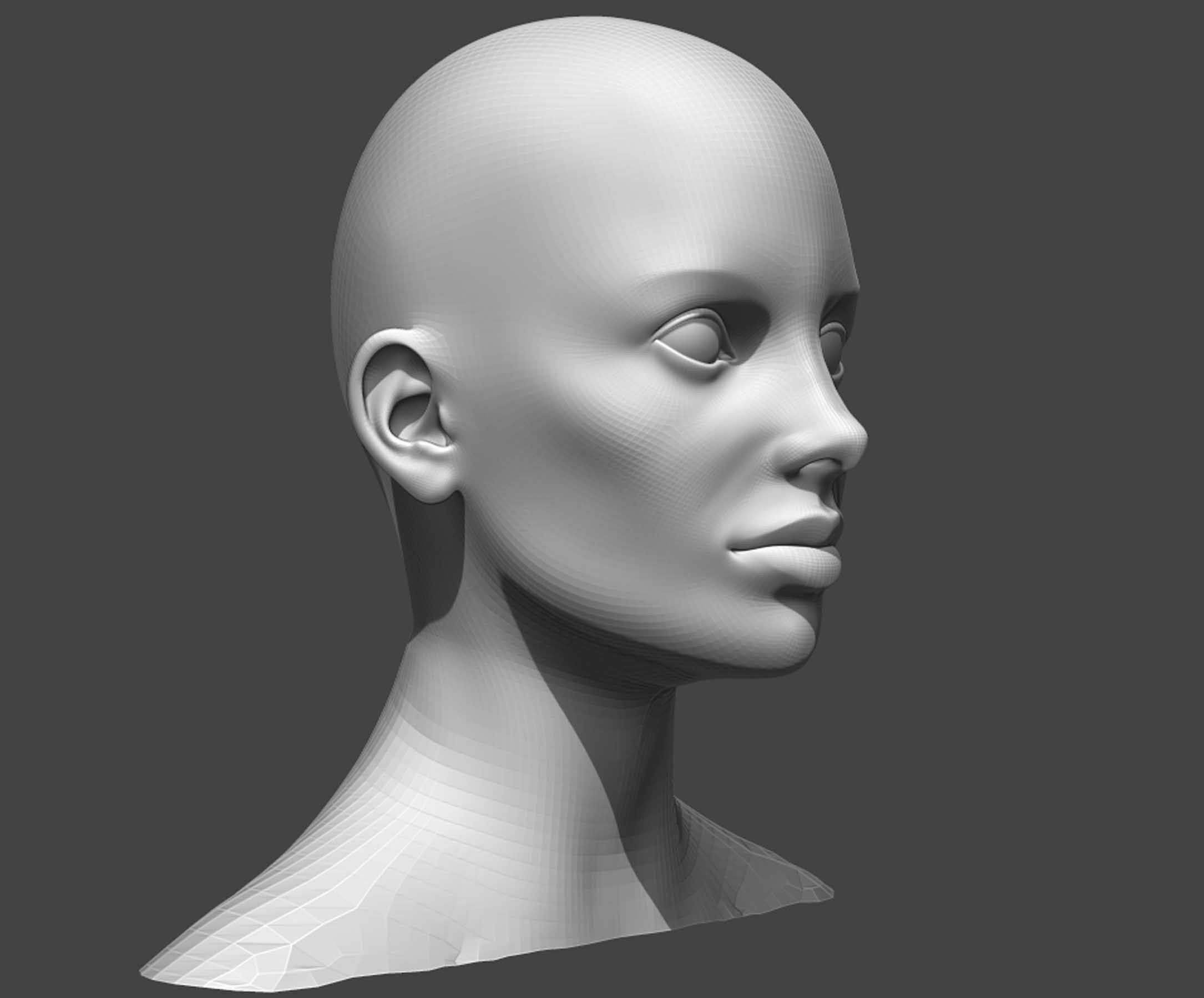 Male and Female Head Realistic Base Mesh 2 3D Model 3D model_18