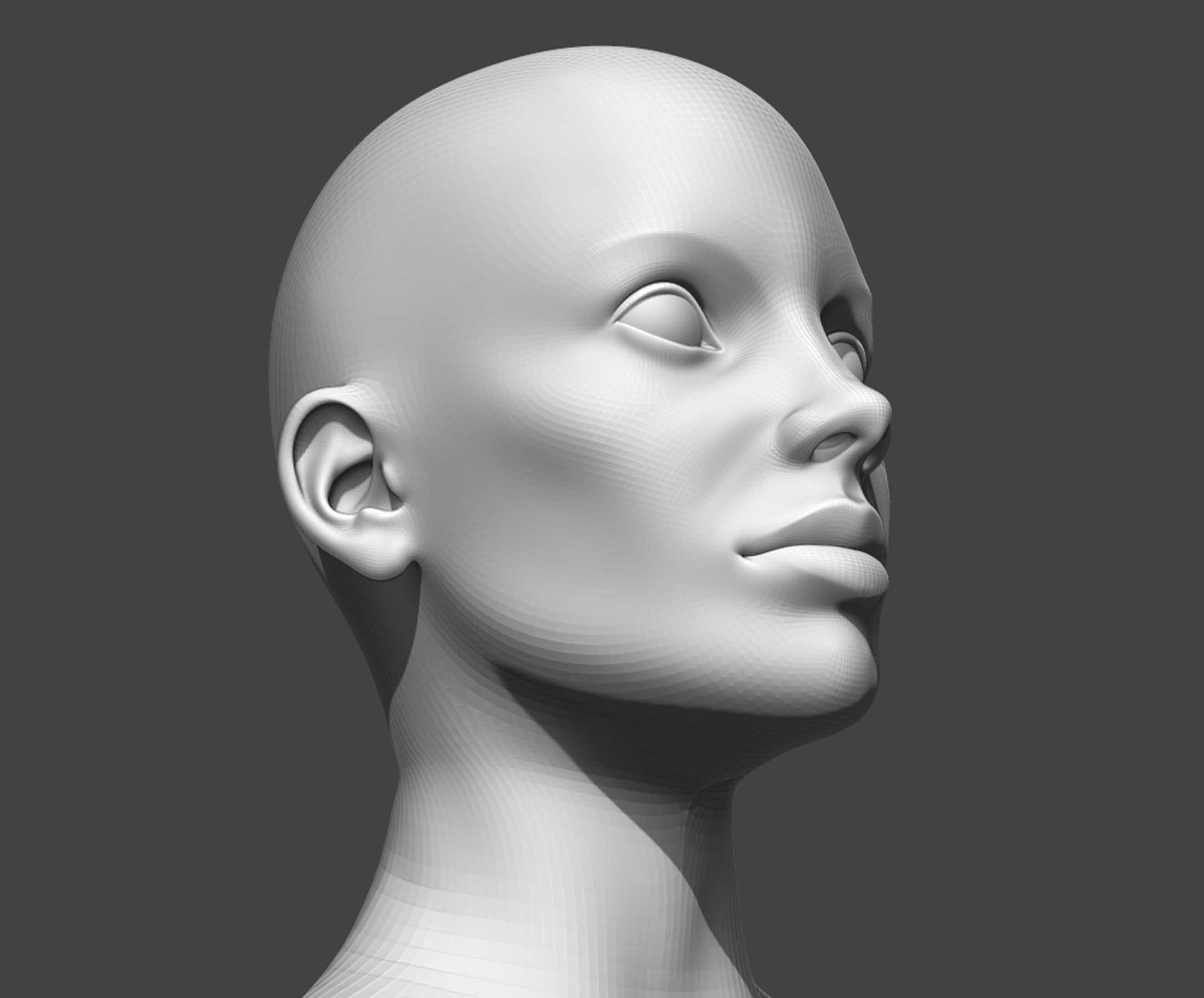Male and Female Head Realistic Base Mesh 2 3D Model 3D model_4
