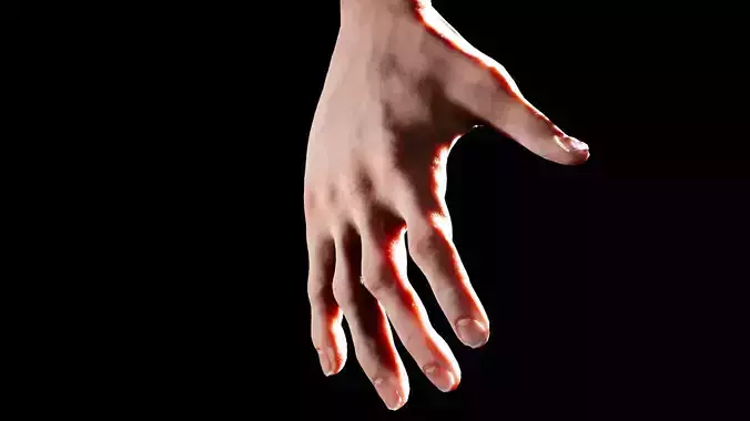 First Person Base Arms Vol 1 - Skinny Male Low-poly 3D model