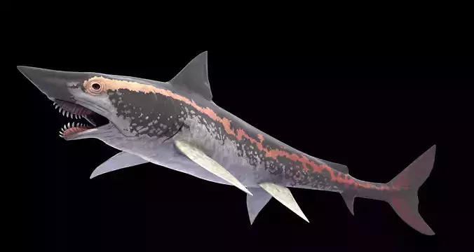 Edestus Shark Asset Pack Low-poly 3D model