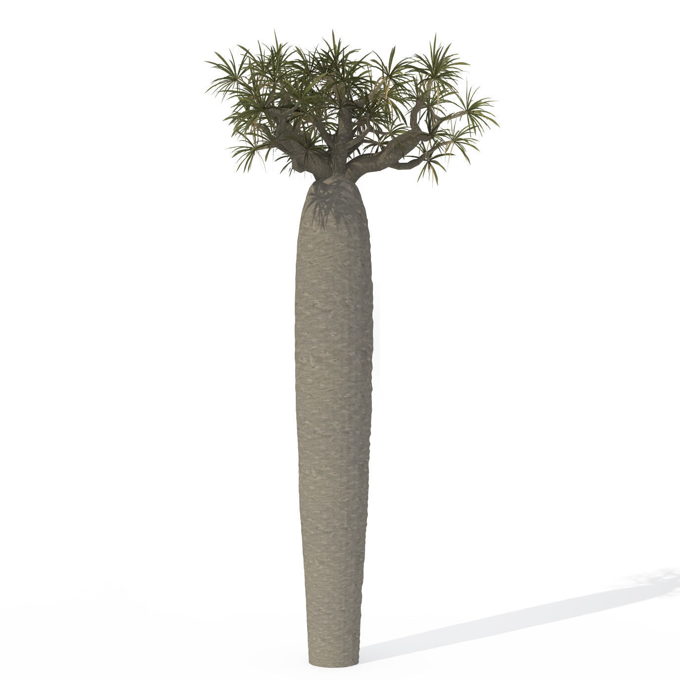 2020 XfrogPlants Africa Library 3D model_6