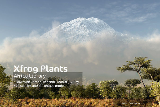 2020 XfrogPlants Africa Library  3D model