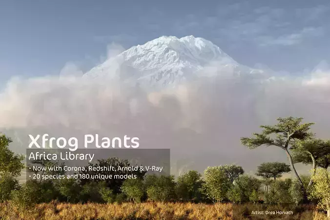 2020 XfrogPlants Africa Library  3D model