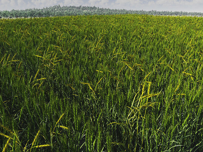 2020 Xfrog Plants Agriculture Library  3D model 3