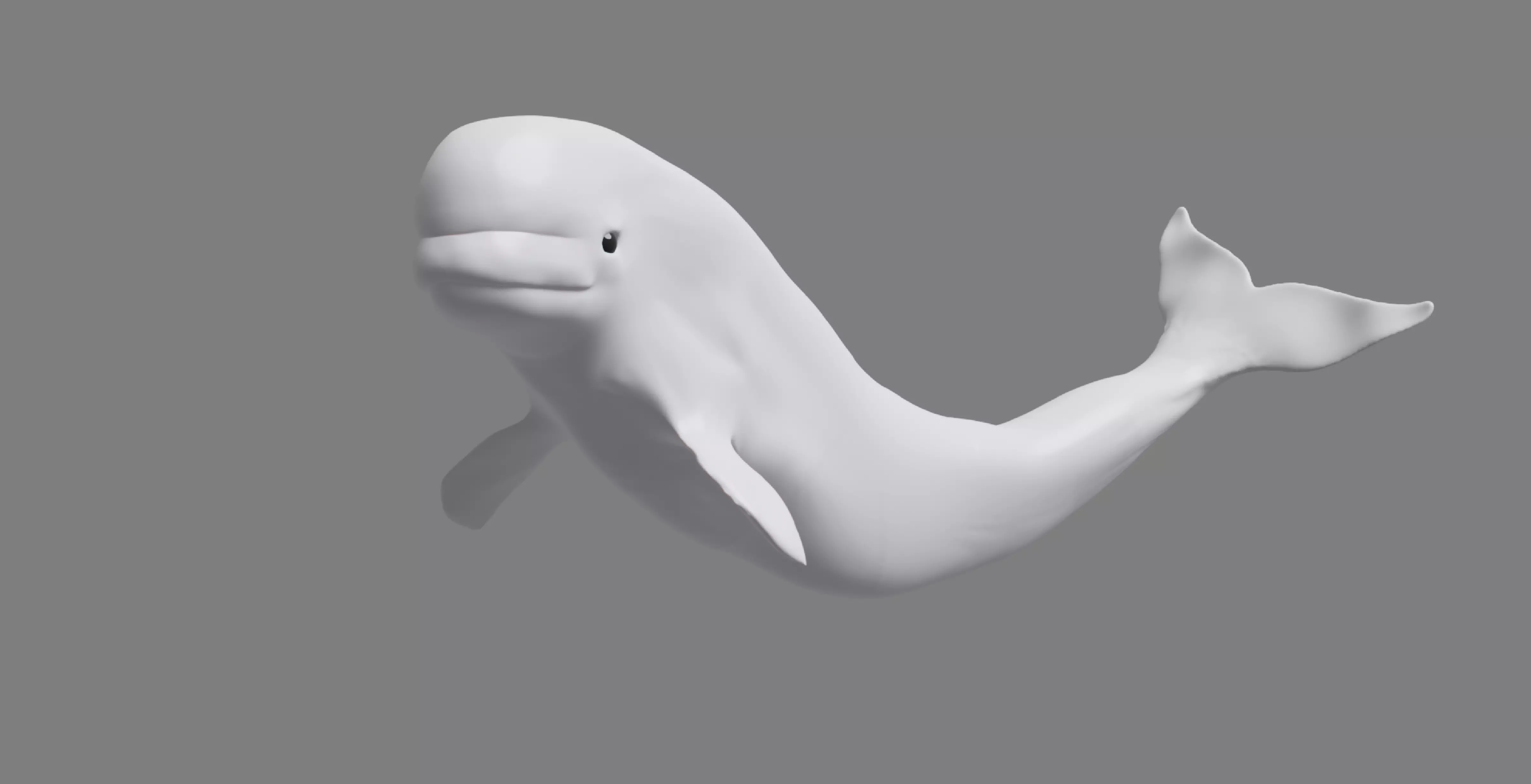 Beluga Whale Free 3D model_0