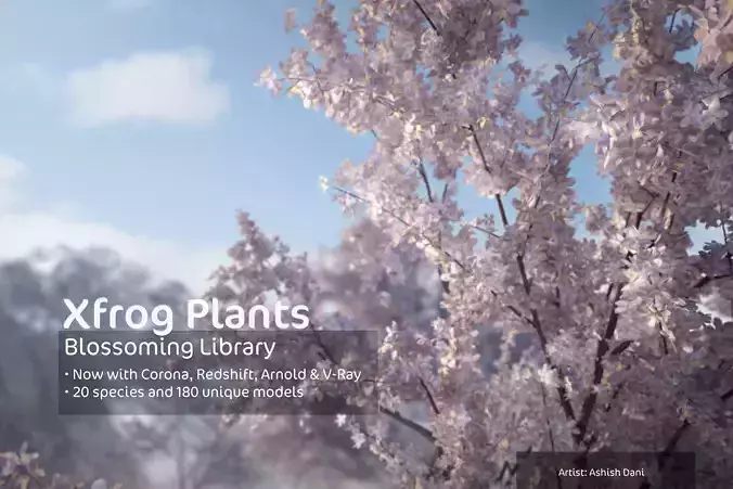 2020 XfrogPlants Blossoming Trees Library  3D model