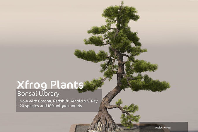 2020 XfrogPlants Bonsai Library  3D model