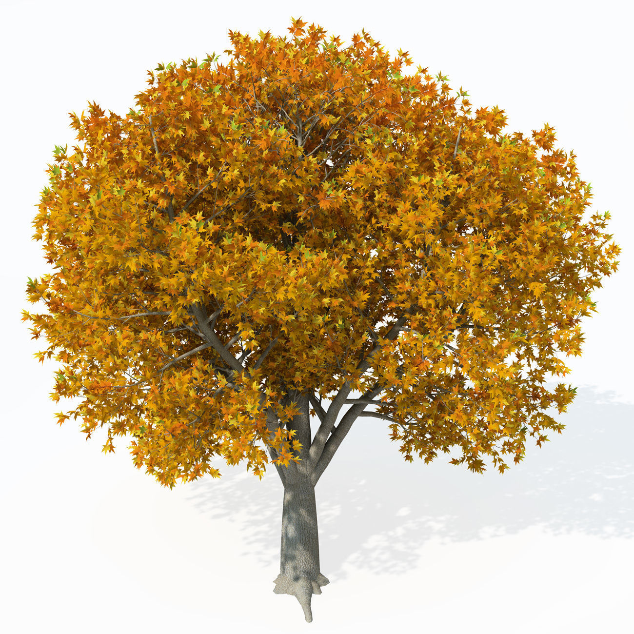 2020 XfrogPlants Europe 3 Library  3D model_8