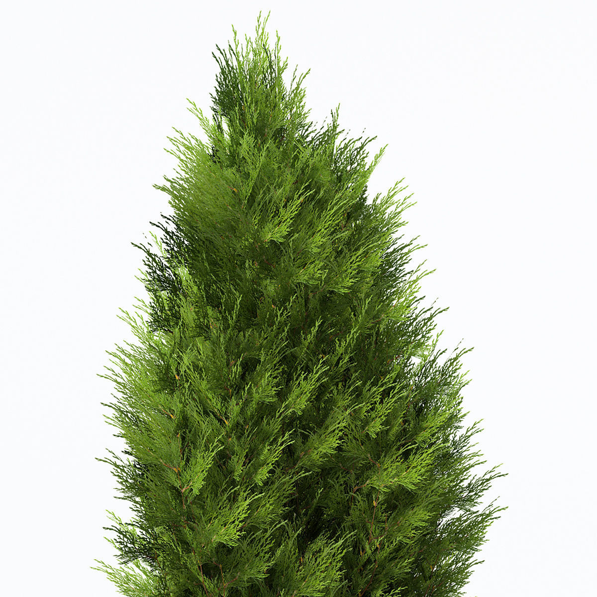 2020 XfrogPlants Europe 3 Library  3D model_13