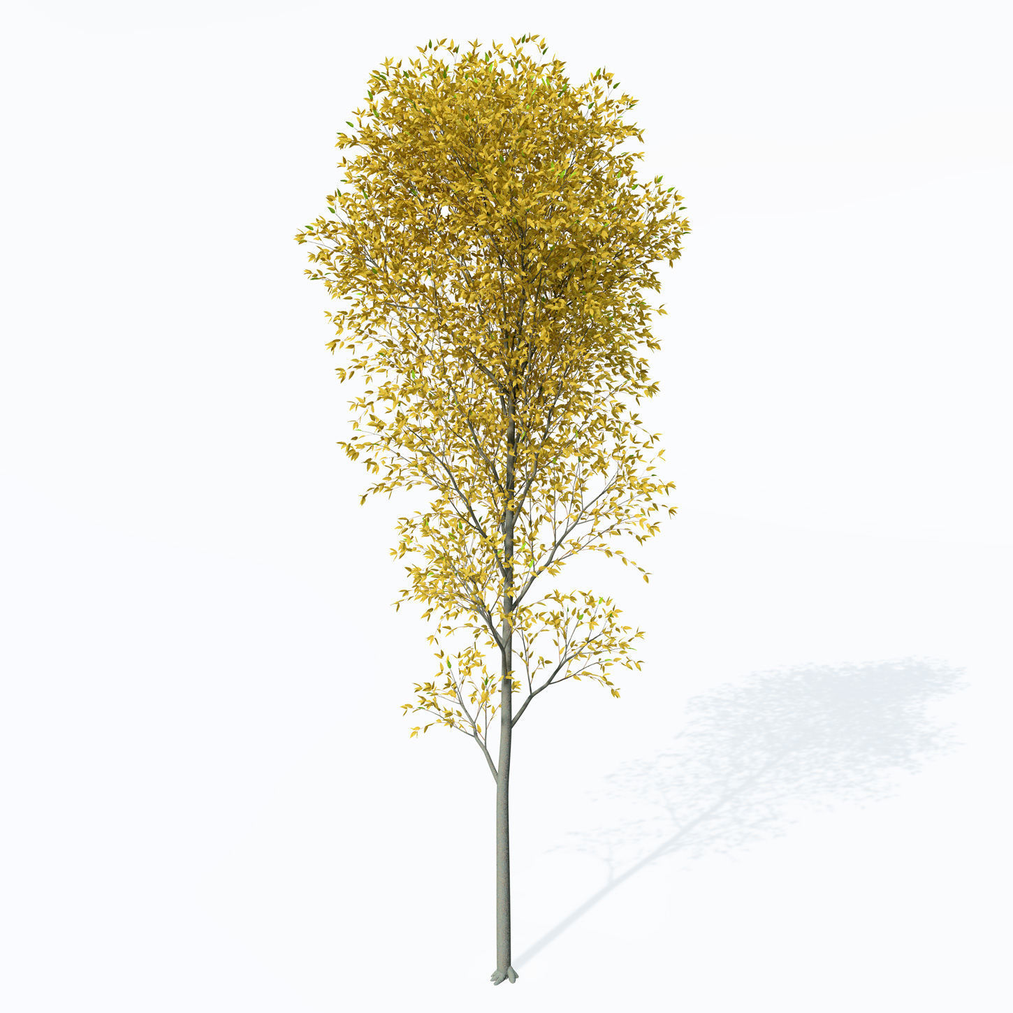 2020 XfrogPlants Europe 3 Library  3D model_15