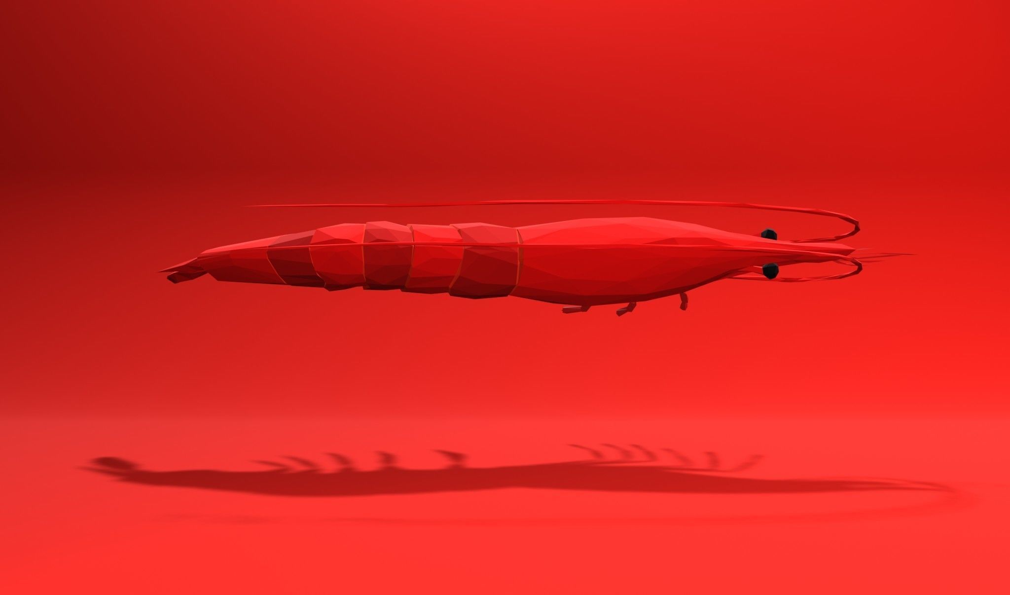 Shrimp sea animal Lowpoly 3D print model_11