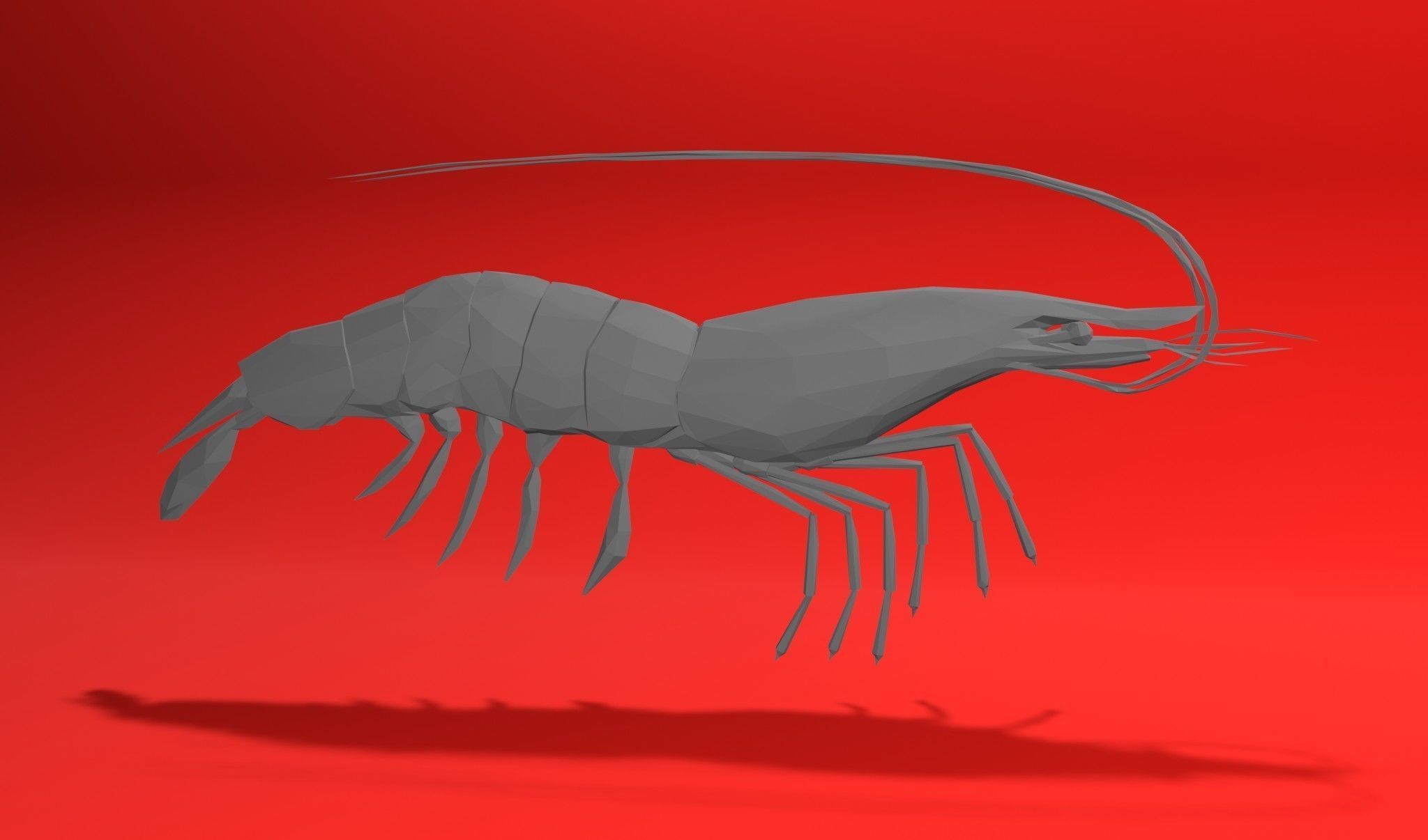 Shrimp sea animal Lowpoly 3D print model_3