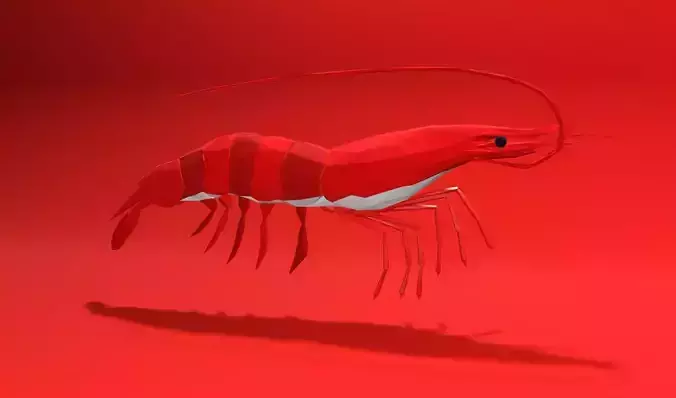 Shrimp sea animal Lowpoly 3D print model