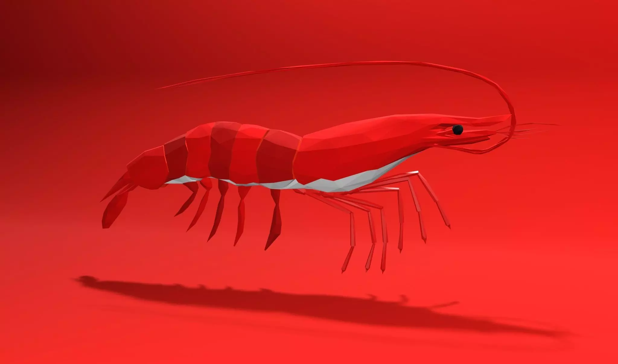 Shrimp sea animal Lowpoly 3D print model_0