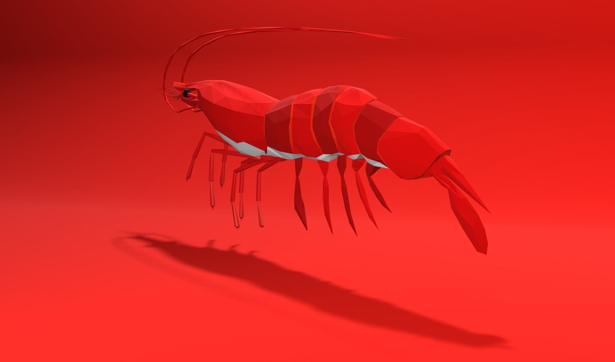 Shrimp sea animal Lowpoly 3D print model_6