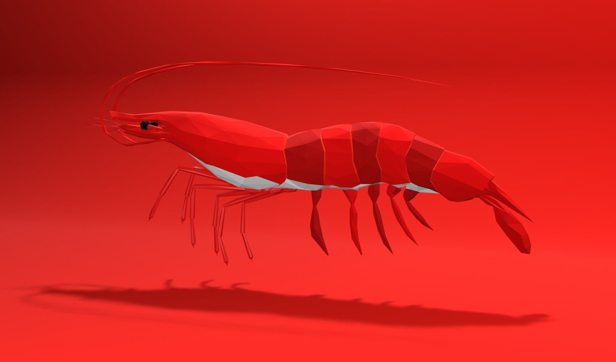Shrimp sea animal Lowpoly 3D print model_4