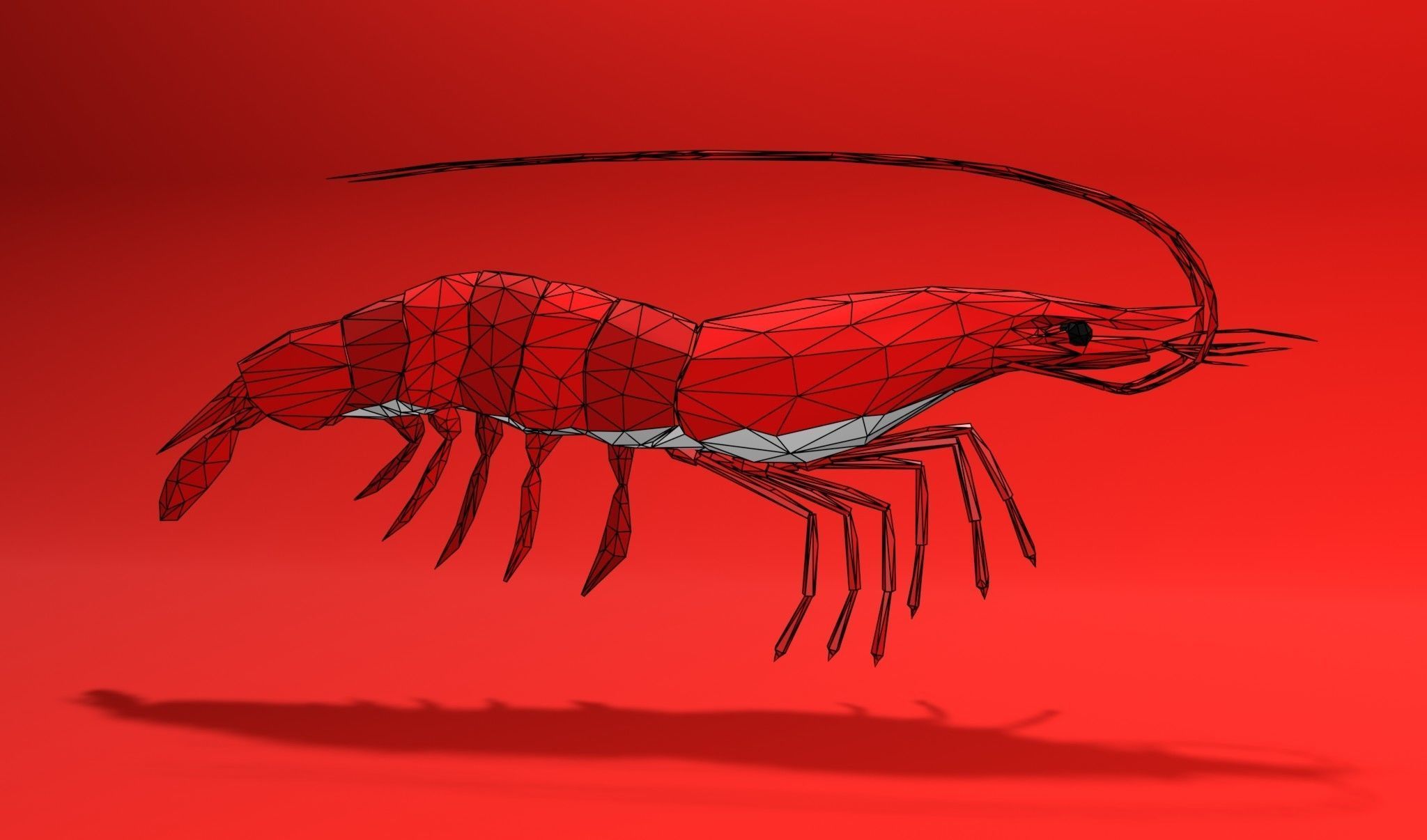 Shrimp sea animal Lowpoly 3D print model_1
