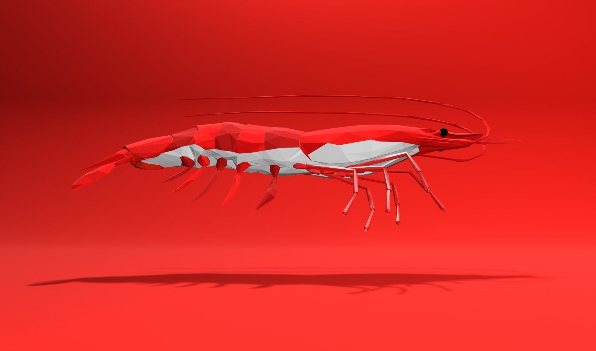 Shrimp sea animal Lowpoly 3D print model_10