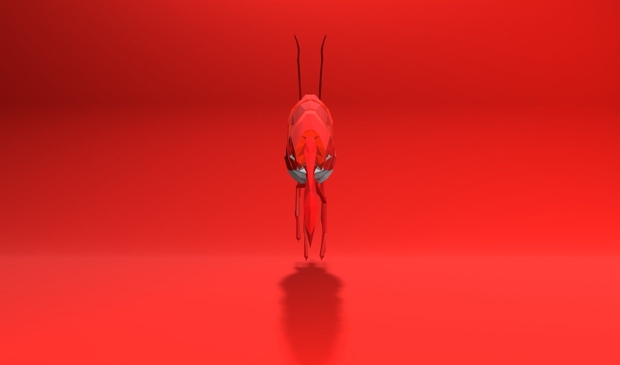 Shrimp sea animal Lowpoly 3D print model_9