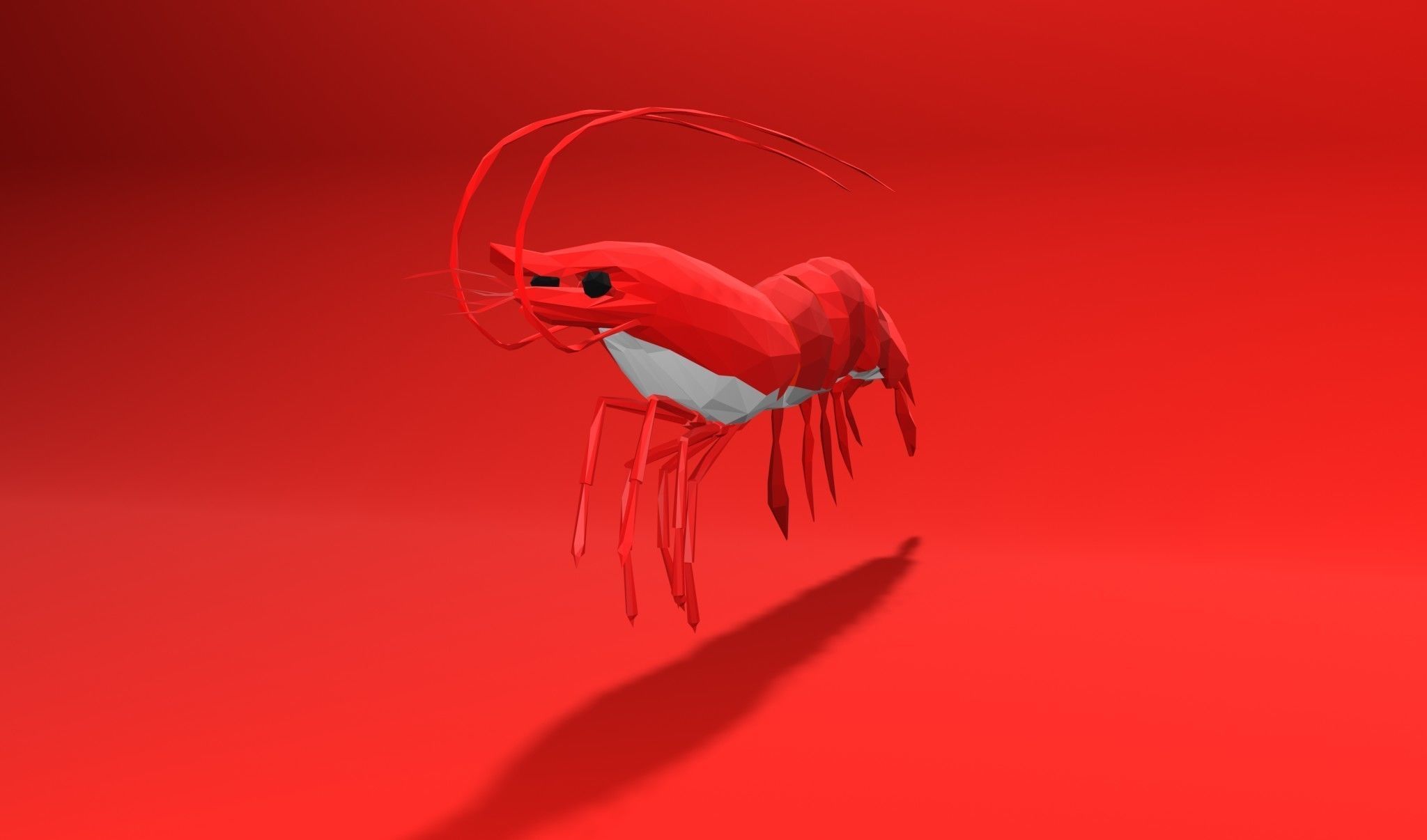 Shrimp sea animal Lowpoly 3D print model_5