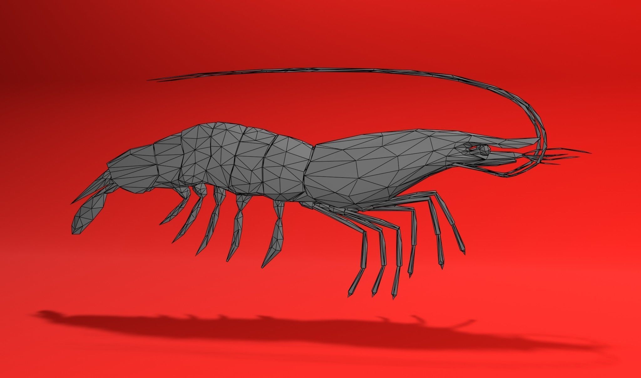 Shrimp sea animal Lowpoly 3D print model_2