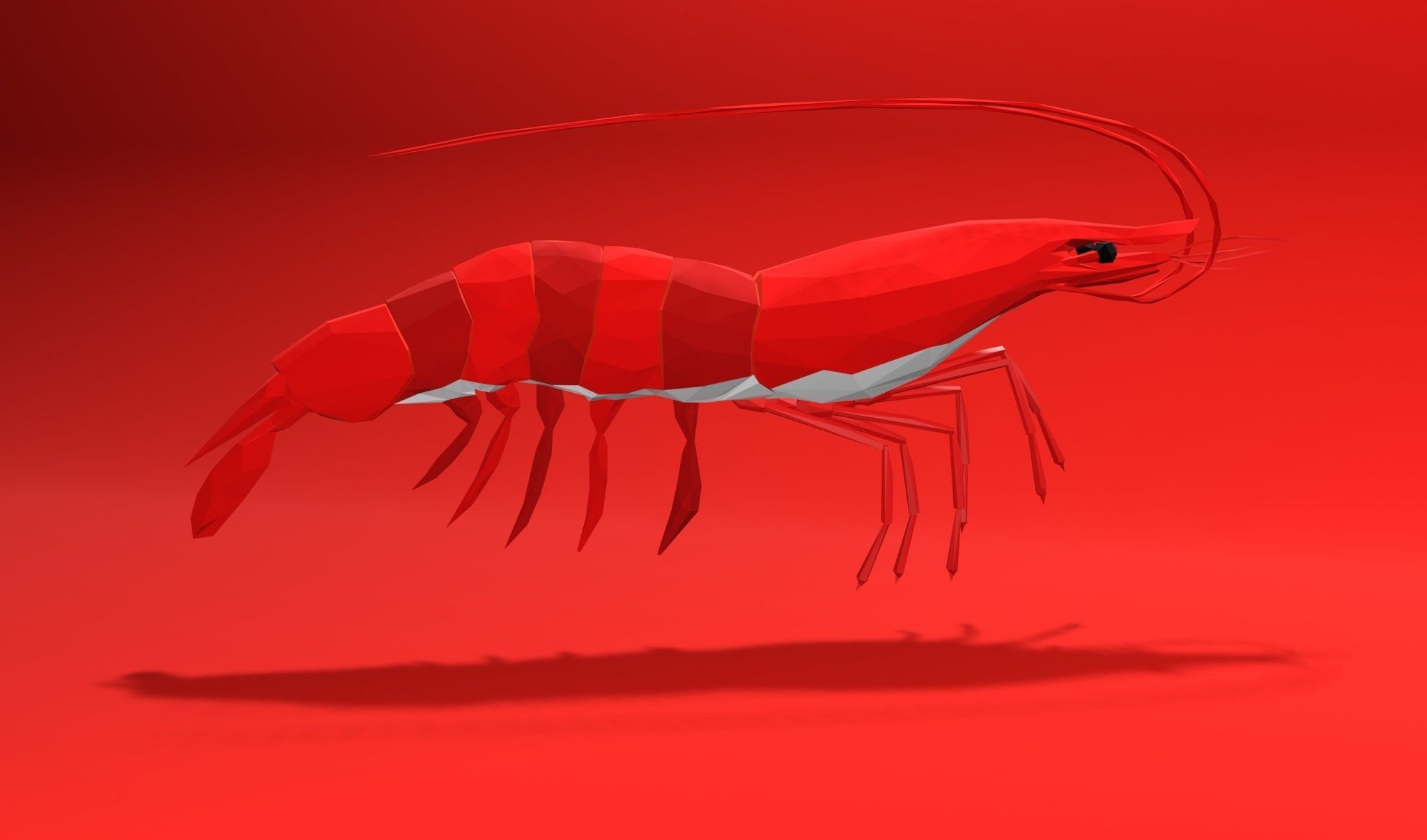 Shrimp sea animal Lowpoly 3D print model_7