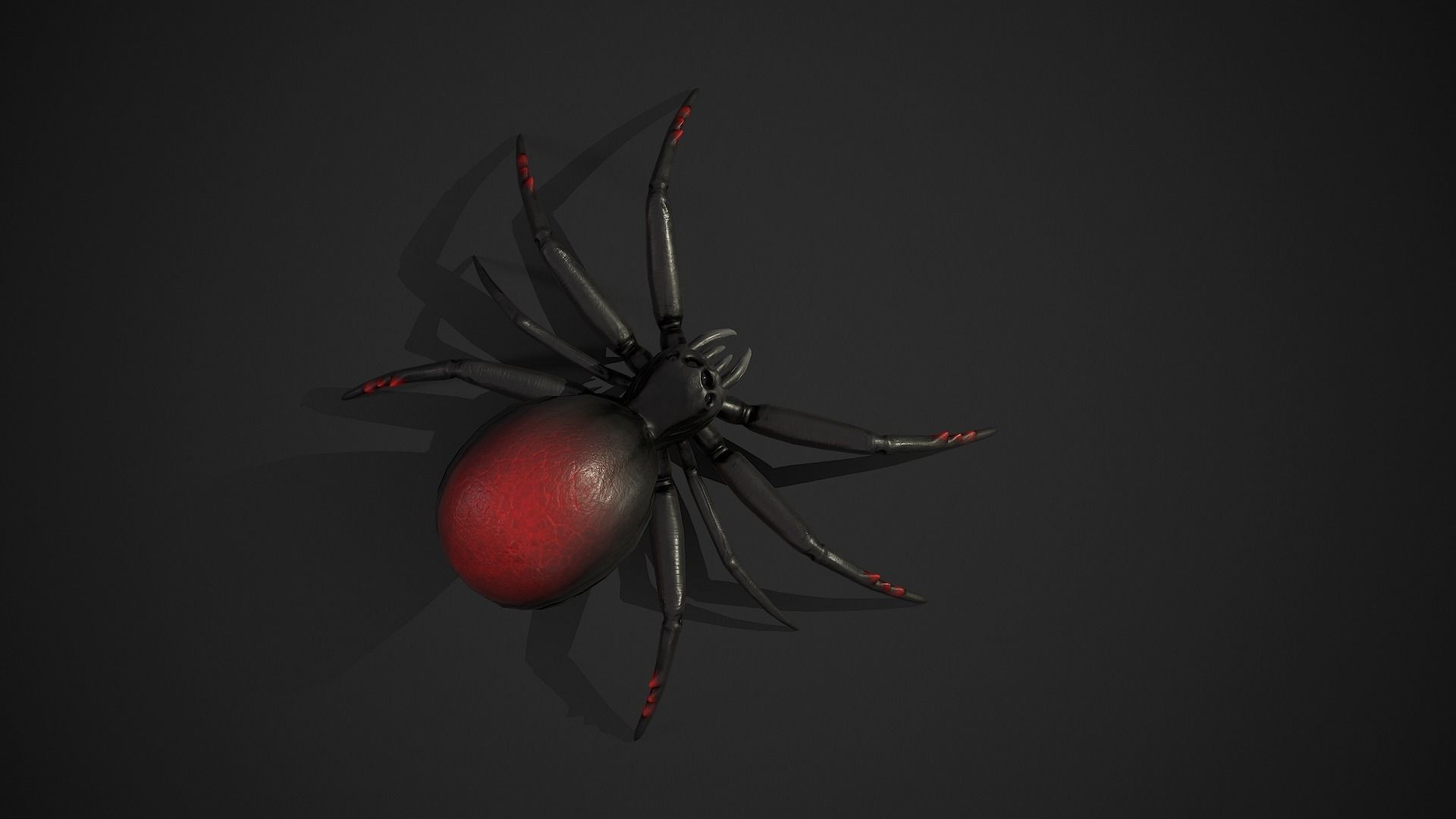 Spider insect1 - Game Ready Low-poly 3D model Low-poly 3D model_9