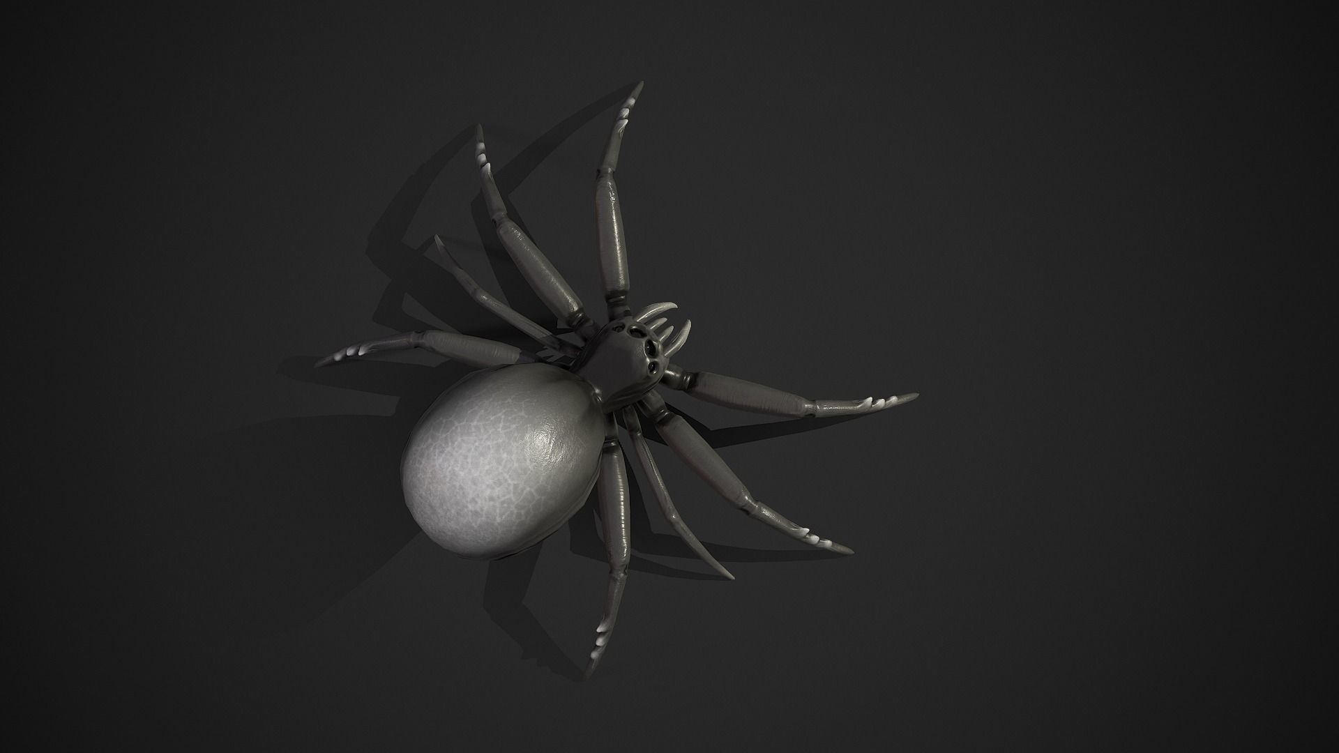 Spider insect1 - Game Ready Low-poly 3D model Low-poly 3D model_6