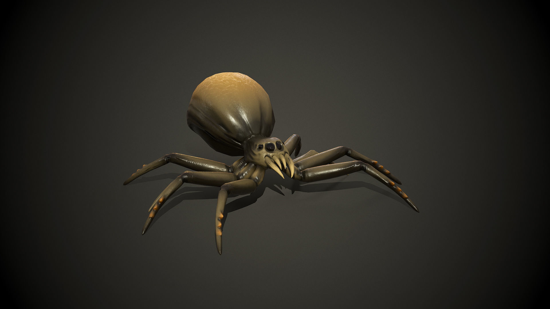 Spider insect1 - Game Ready Low-poly 3D model Low-poly 3D model_16
