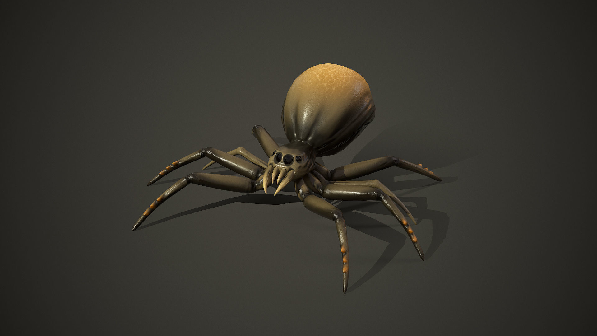 Spider insect1 - Game Ready Low-poly 3D model Low-poly 3D model_17