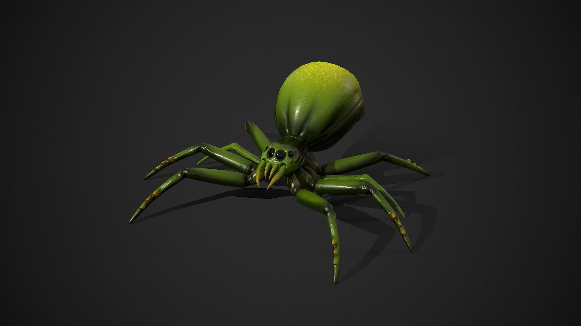 Spider insect1 - Game Ready Low-poly 3D model Low-poly 3D model_11