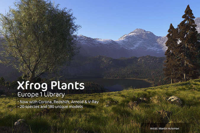 2020 XfrogPlants Europe 1 Library  3D model