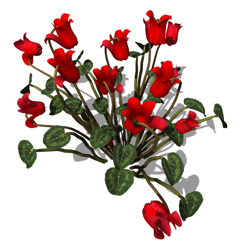 2020 XfrogPlants Flowers 1 Library  3D model_8