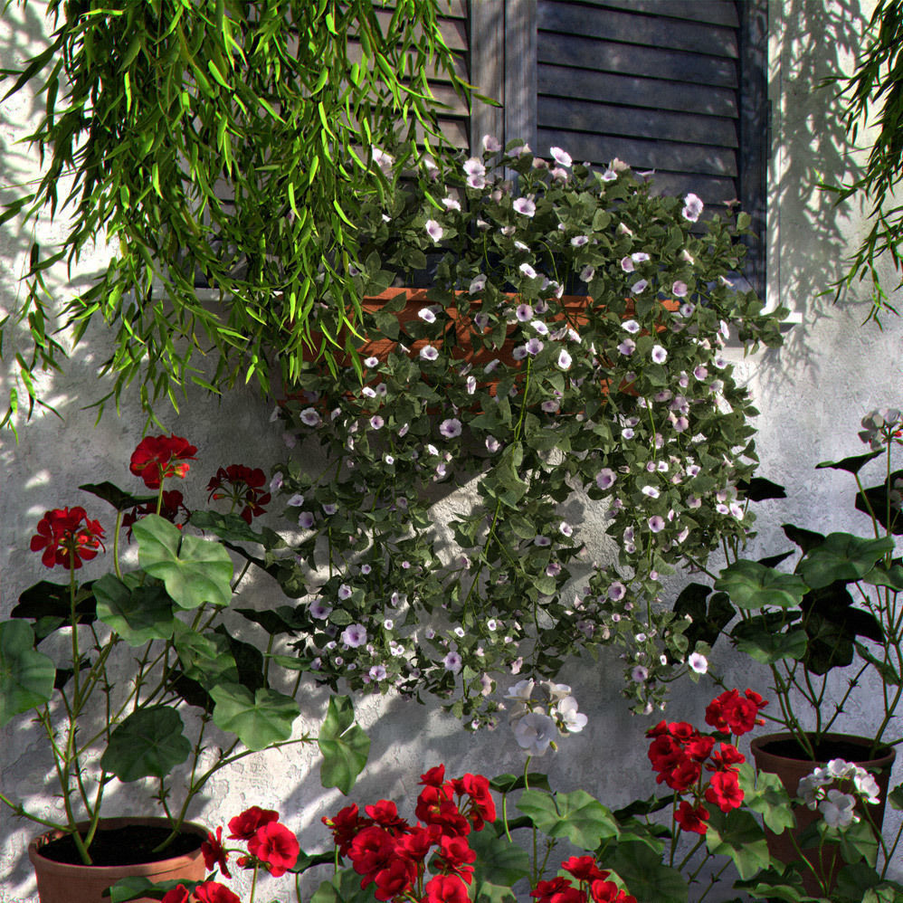 2020 XfrogPlants Flowers 1 Library  3D model_1