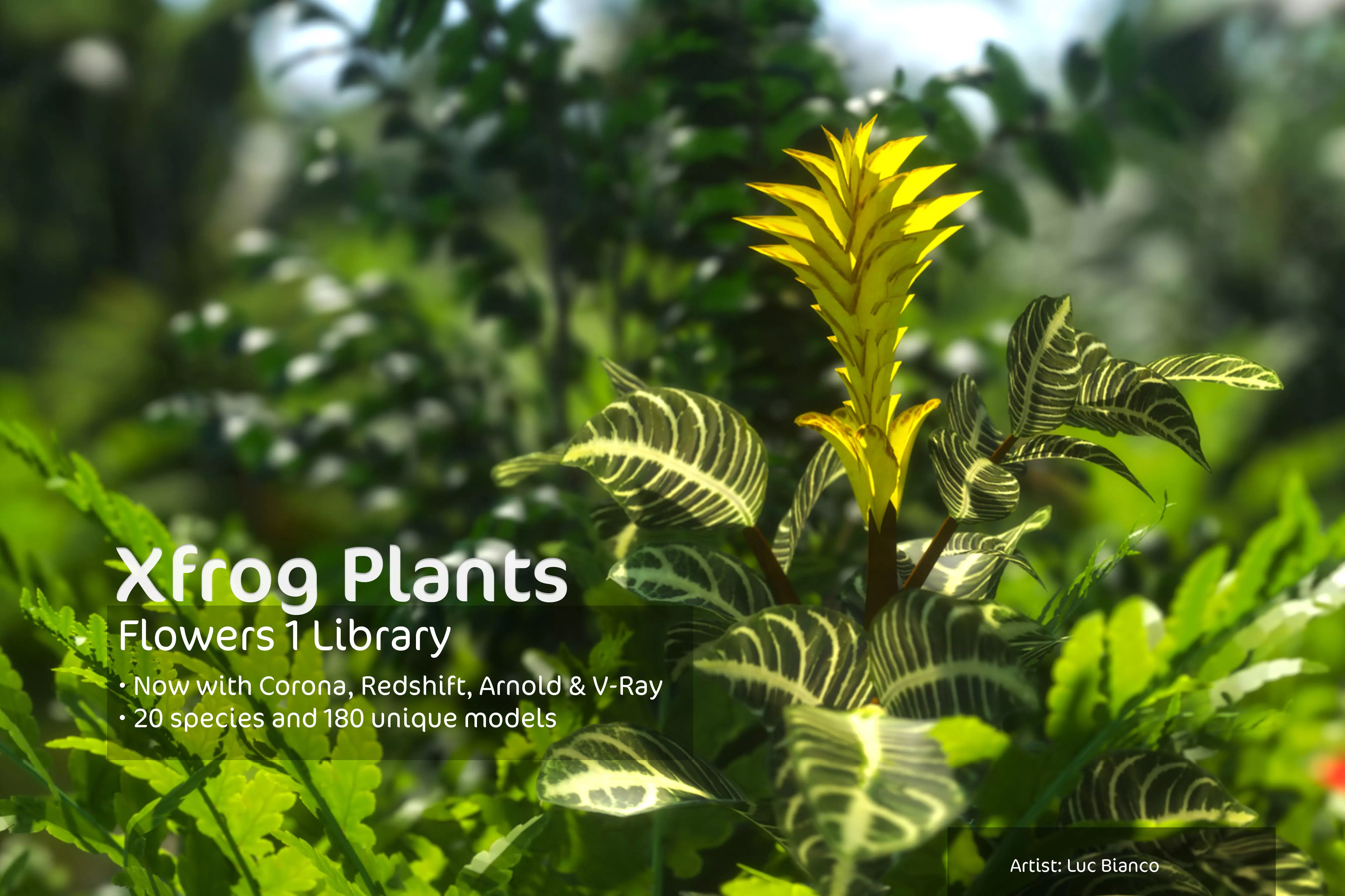2020 XfrogPlants Flowers 1 Library  3D model_0