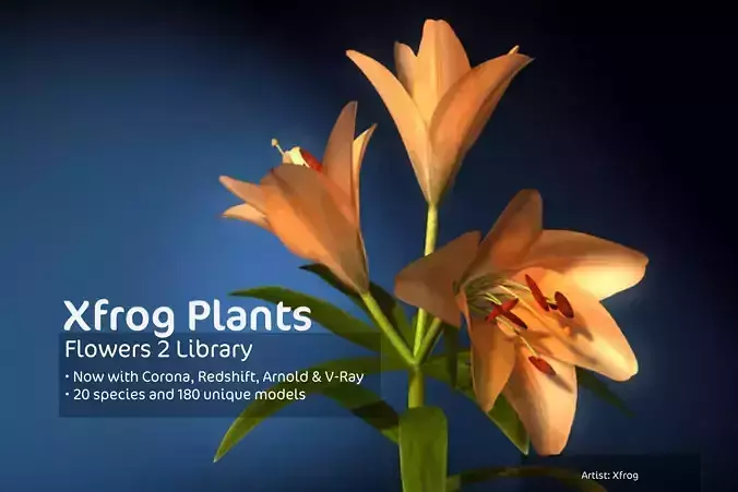 2020 XfrogPlants Flowers 2 Library  3D model