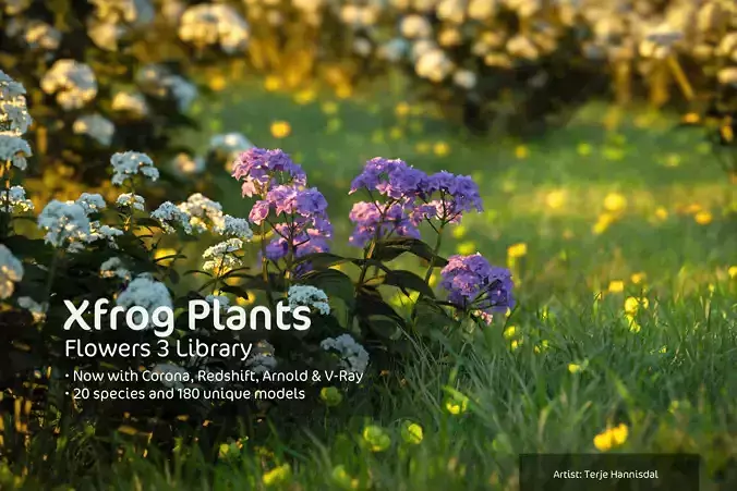 2020 XfrogPlants Flowers 3 Library  3D model