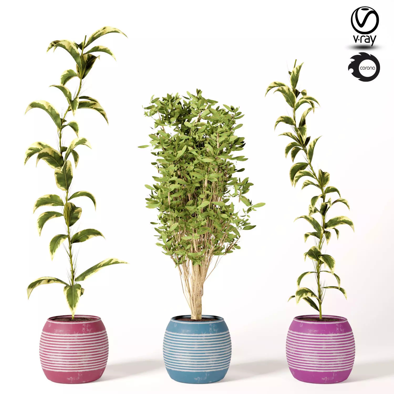 indoor Plant Set s01 3D model_0