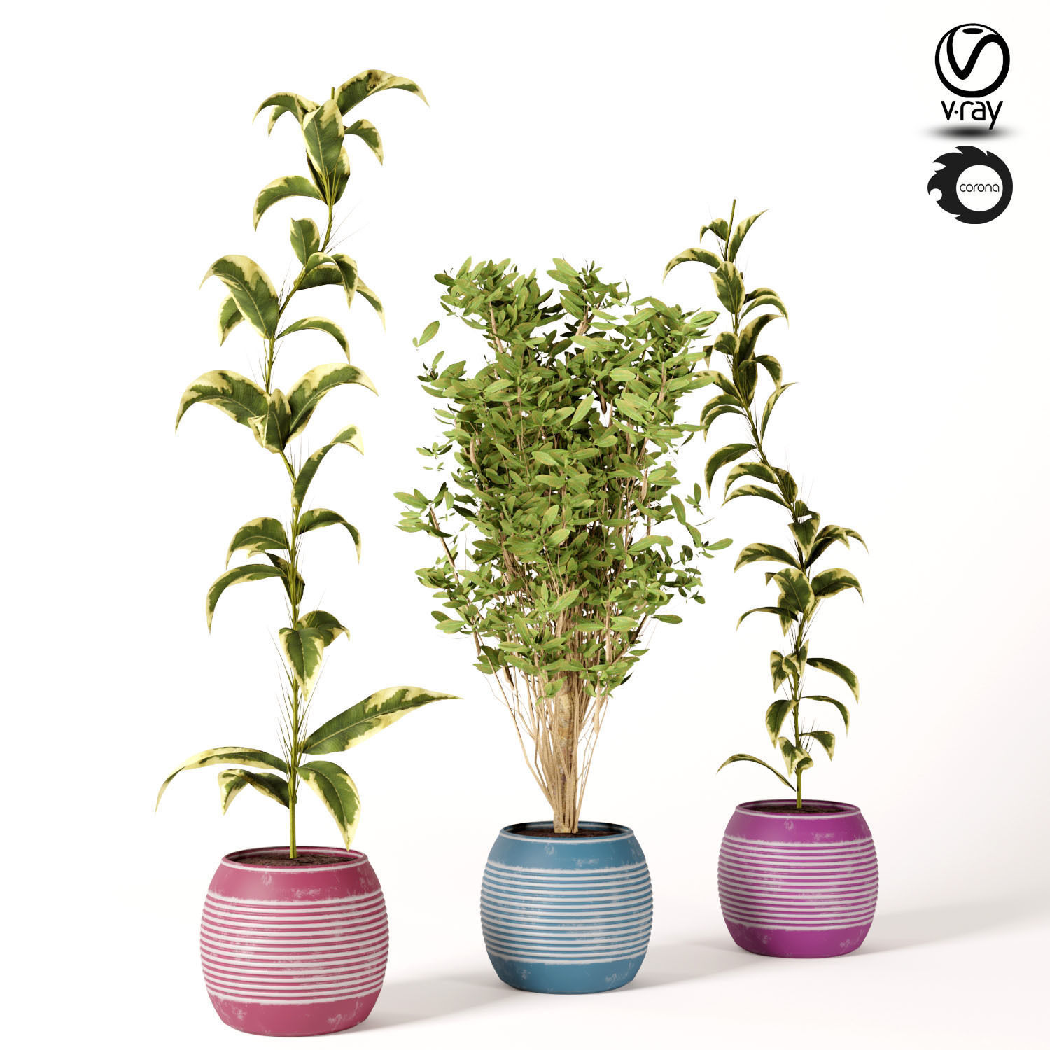indoor Plant Set s01 3D model_1
