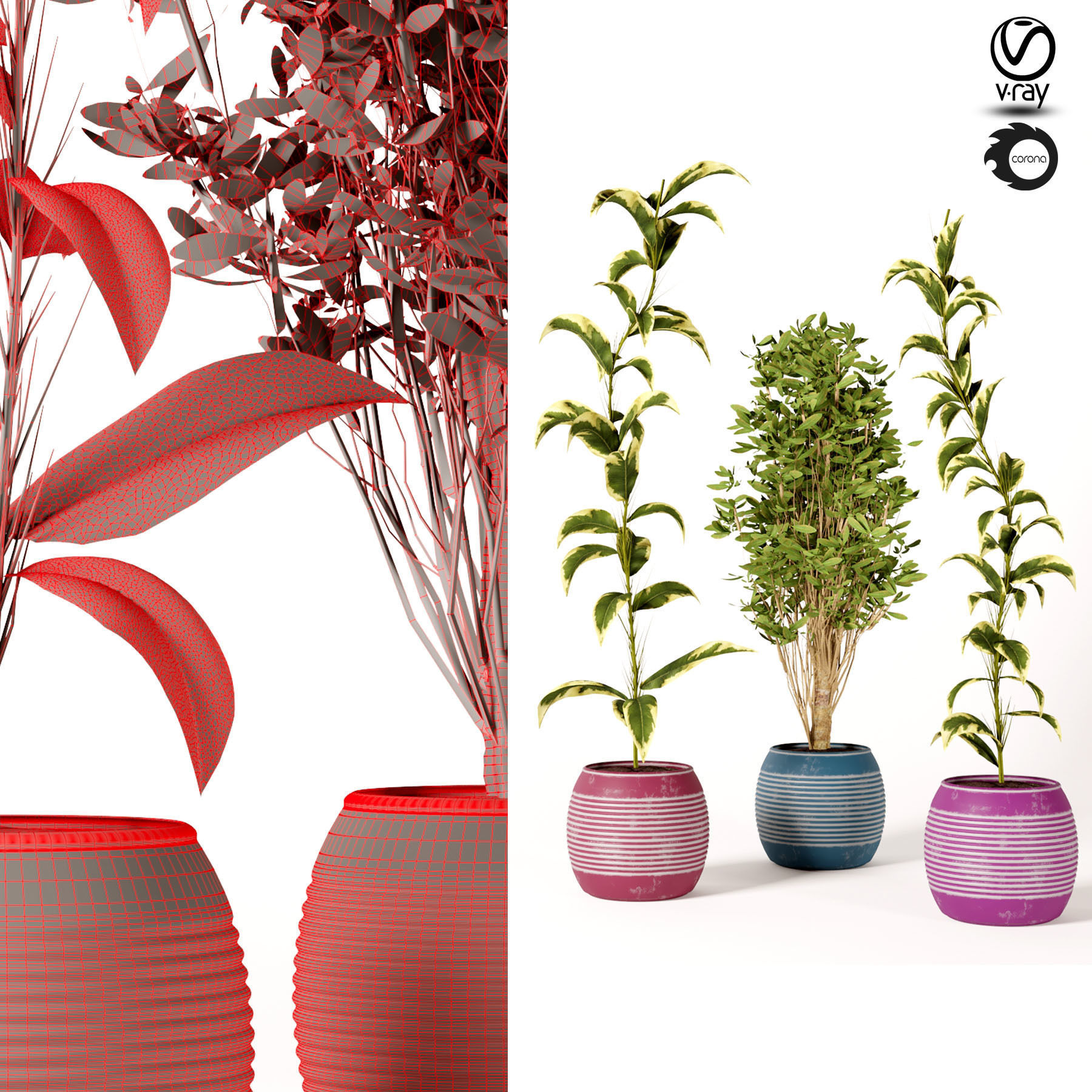 indoor Plant Set s01 3D model_2