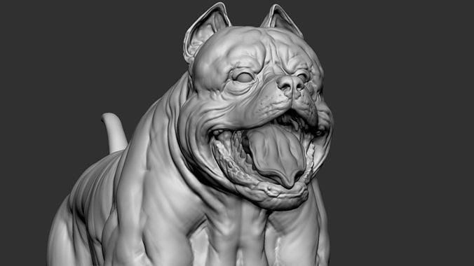 American pit bull terrier model Low-poly 3D model