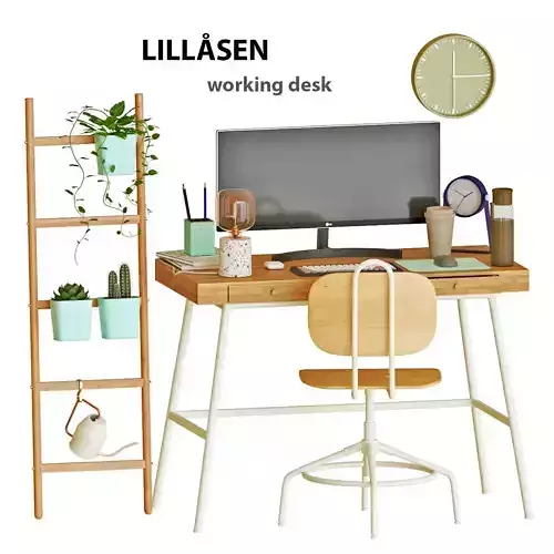 LILLASEN Working Desk 2