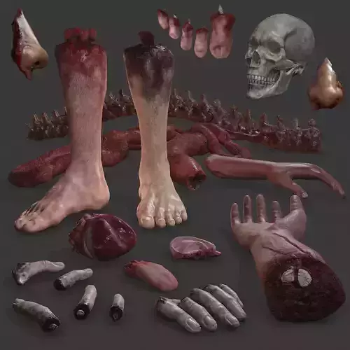 Severed Body Parts Expanded Pack 3D Model Collection