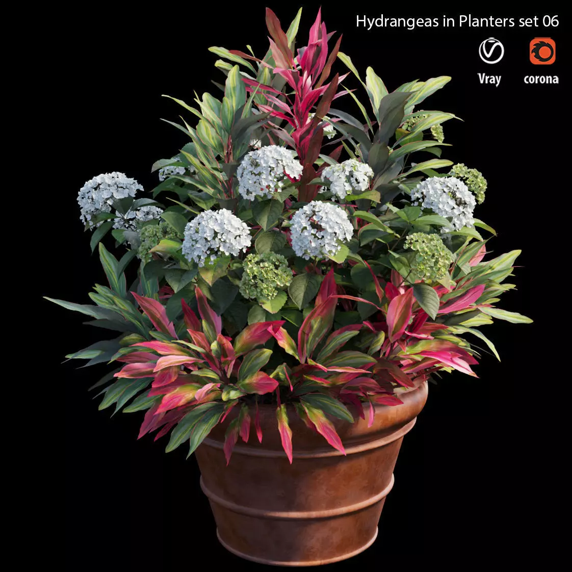 Hydrangea in planters set 06 3D model