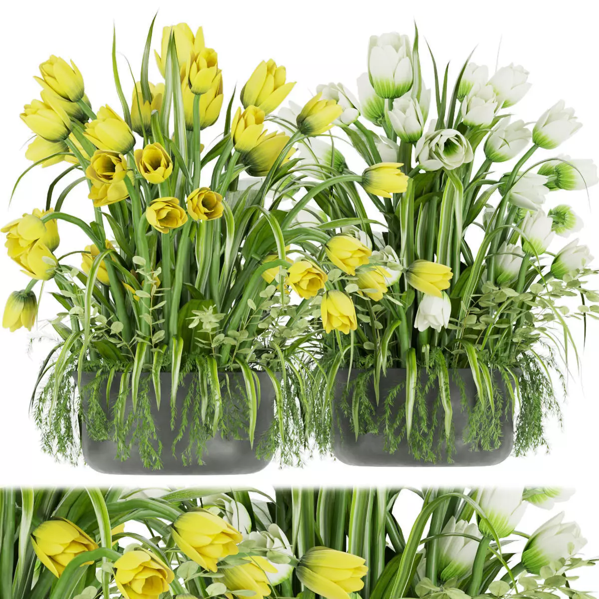 Collection plant vol 43 3D model