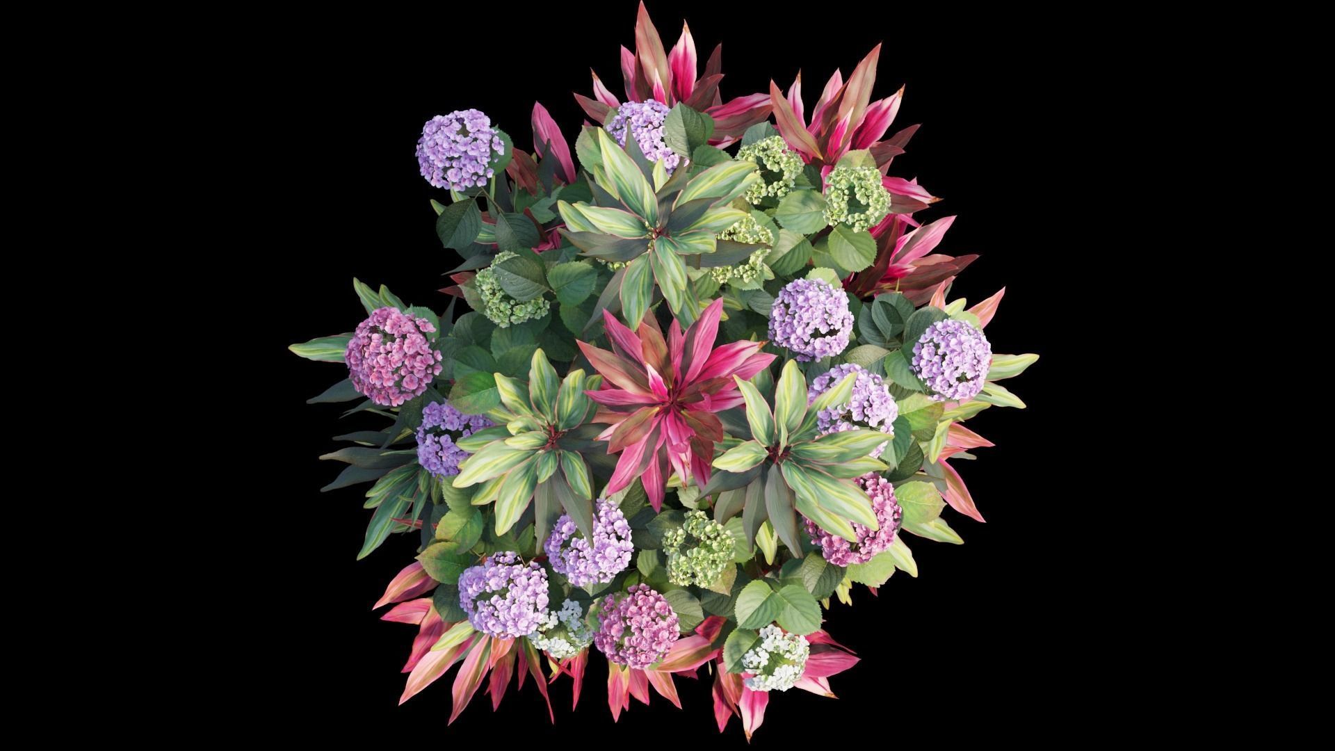 Hydrangea in planters set 07 3D model_9