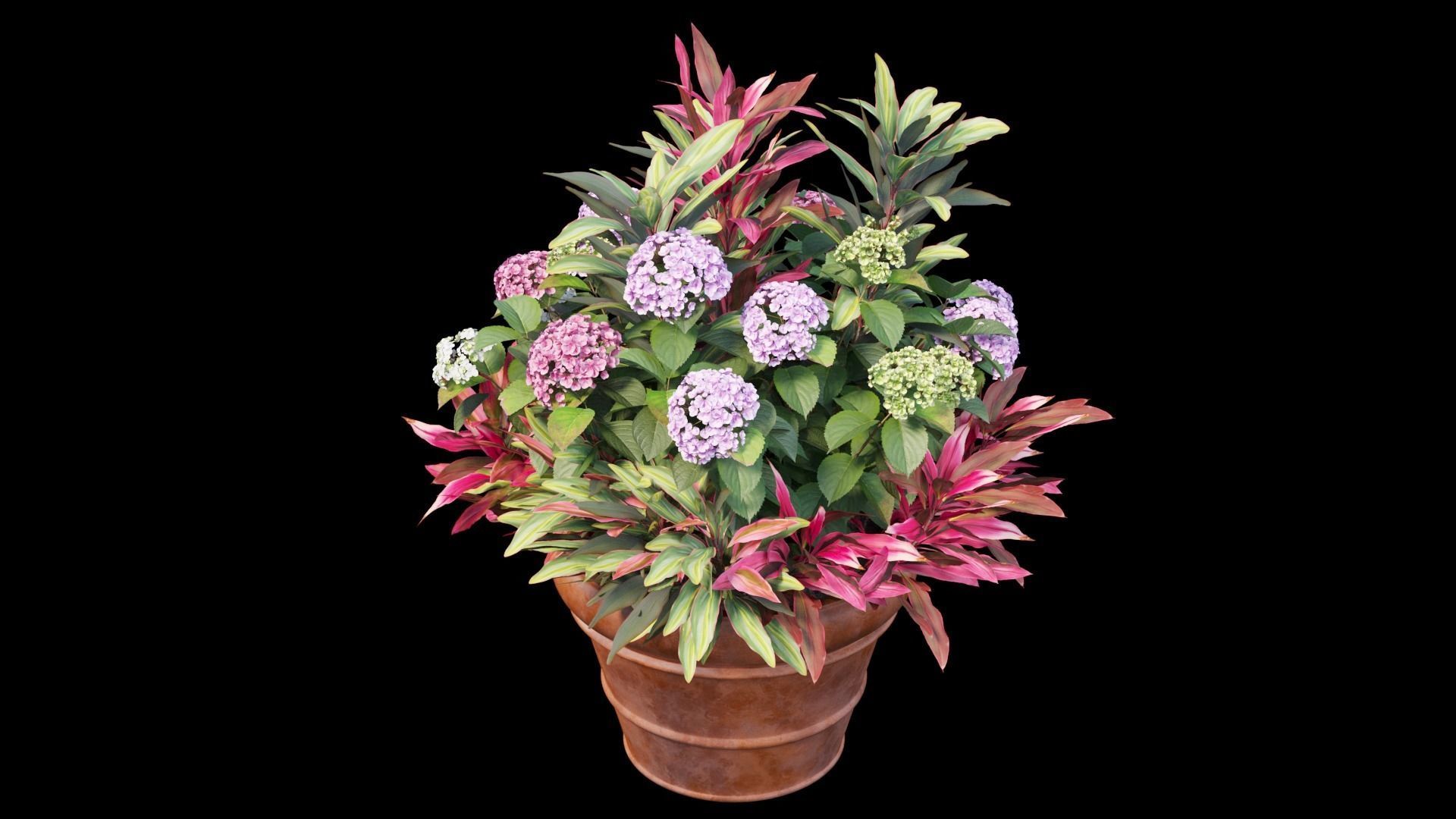 Hydrangea in planters set 07 3D model_8