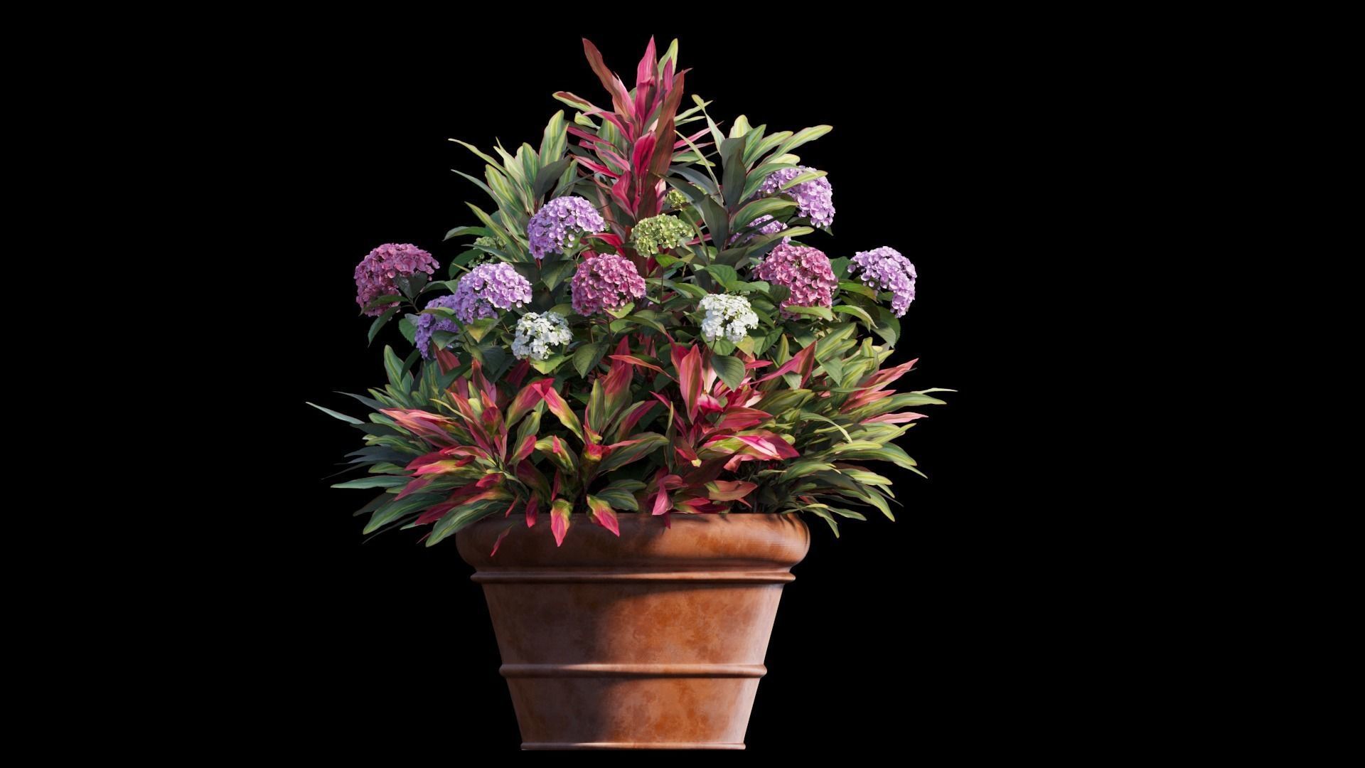 Hydrangea in planters set 07 3D model_5