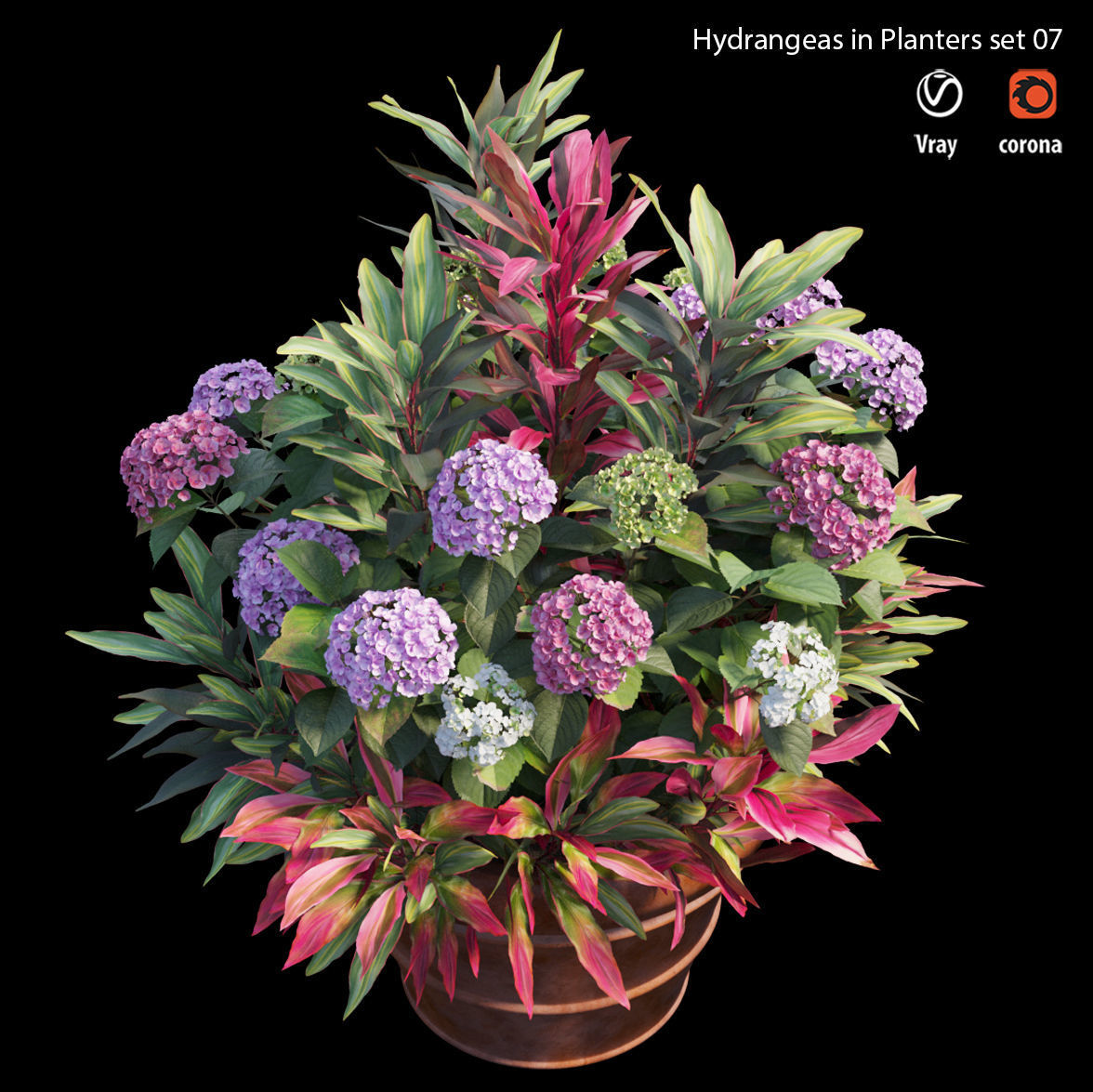 Hydrangea in planters set 07 3D model_1