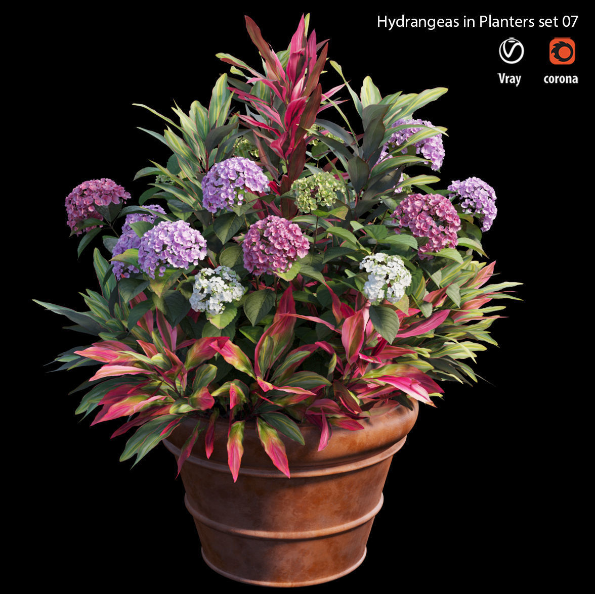 Hydrangea in planters set 07 3D model_2